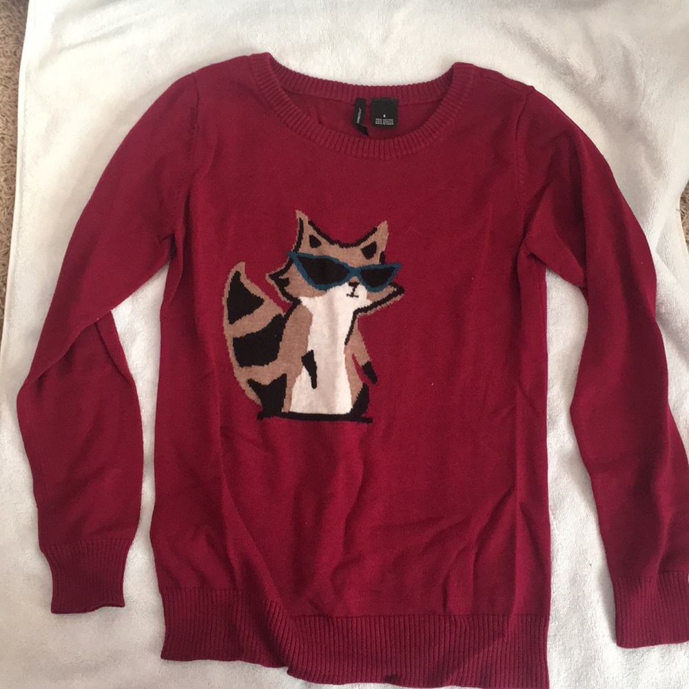 Raccoon Sweater (Worn Twice)